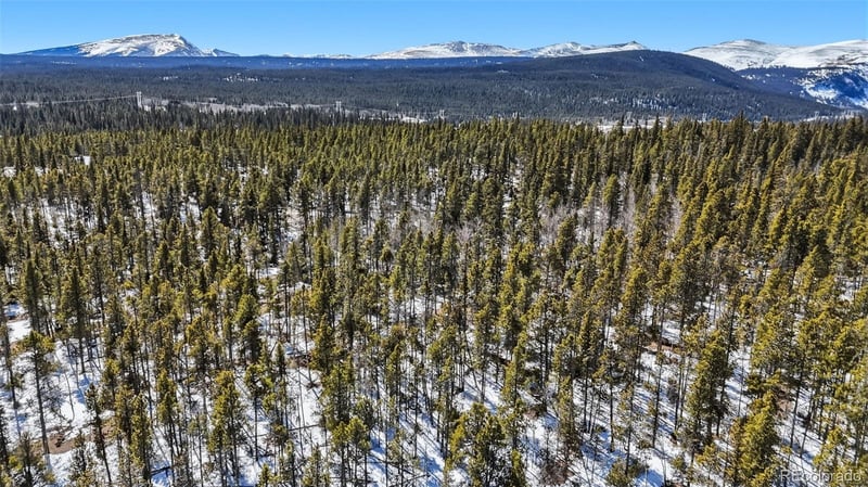 235 Willow Ln, Fairplay, CO 80440