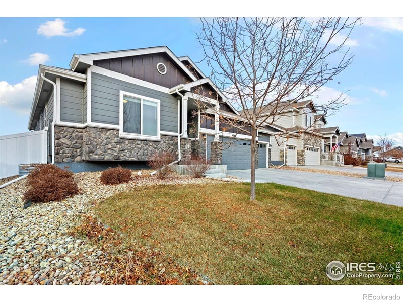 4586 Binfield Dr, Windsor, CO 80550