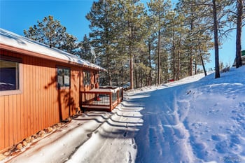 217 Catamount Ridge Rd, Bailey, CO 80421