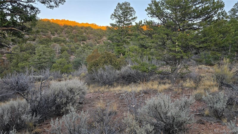 Lot 5106 Redler Rd, Fort Garland, CO 81133