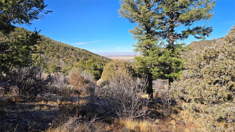 Lot 5106 Redler Rd, Fort Garland, CO 81133