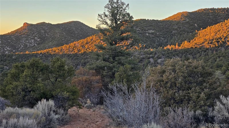 Lot 5106 Redler Rd, Fort Garland, CO 81133