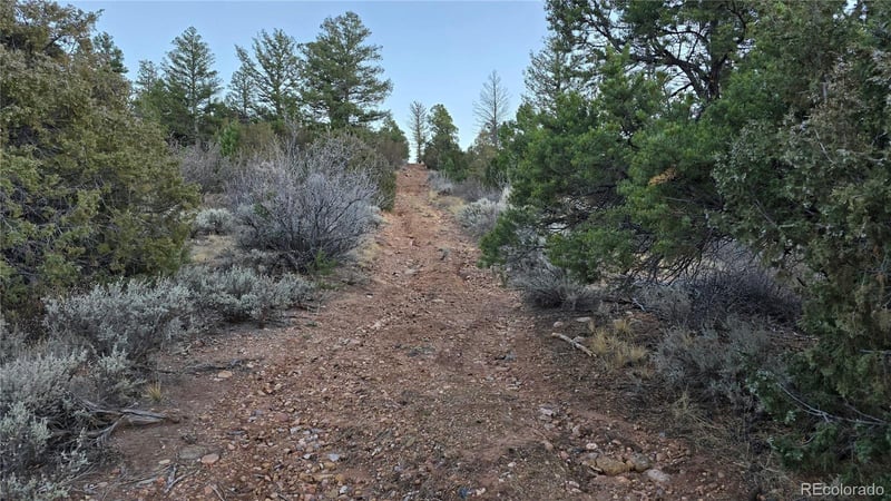 Lot 5106 Redler Rd, Fort Garland, CO 81133