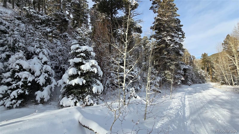 Lot 5540 Joy Rd, Fort Garland, CO 81133