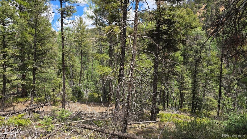 Lot 5540 Joy Rd, Fort Garland, CO 81133