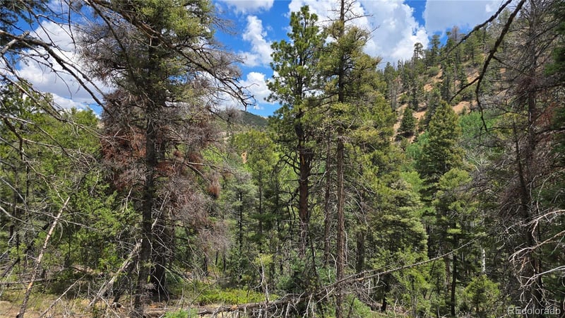 Lot 5540 Joy Rd, Fort Garland, CO 81133