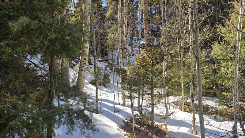 Lot 5540 Joy Rd, Fort Garland, CO 81133