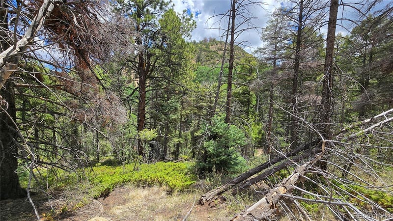 Lot 5540 Joy Rd, Fort Garland, CO 81133
