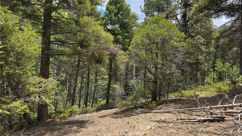 Lot 5540 Joy Rd, Fort Garland, CO 81133