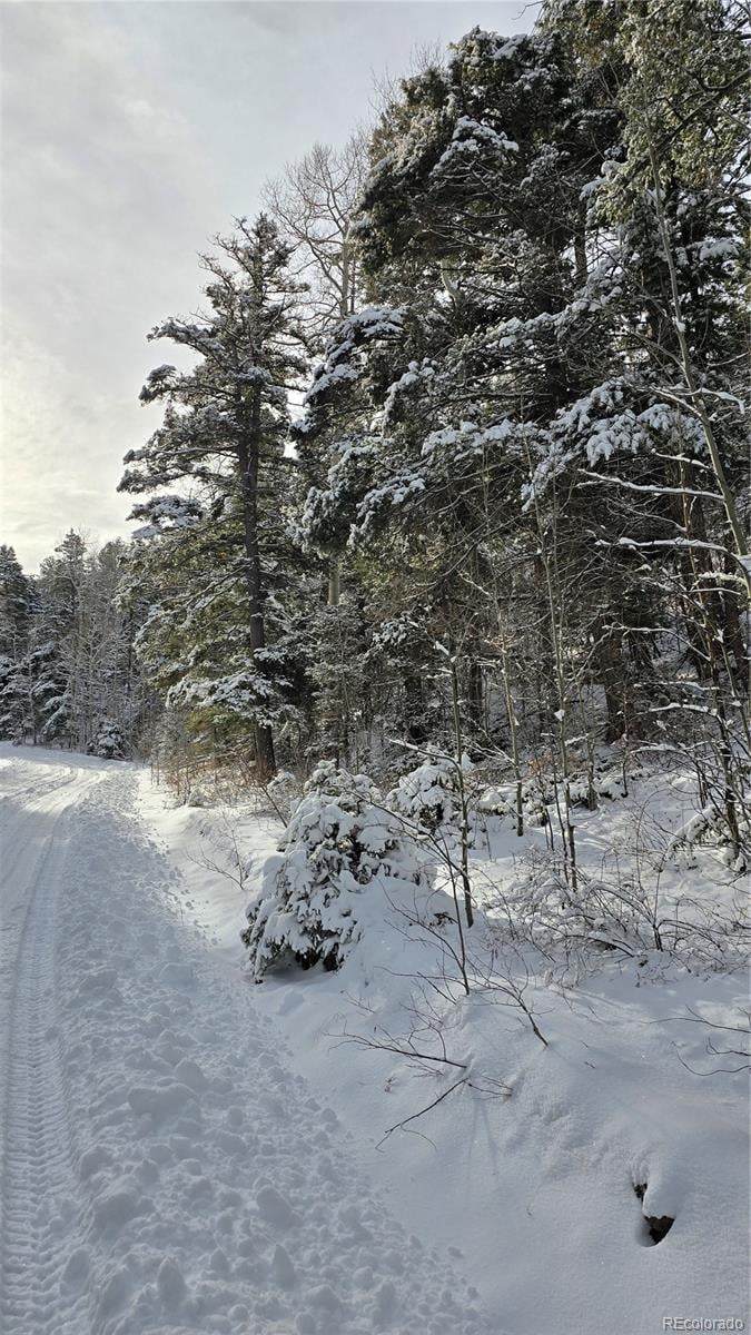 Lot 5540 Joy Rd, Fort Garland, CO 81133