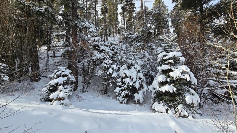 Lot 5540 Joy Rd, Fort Garland, CO 81133