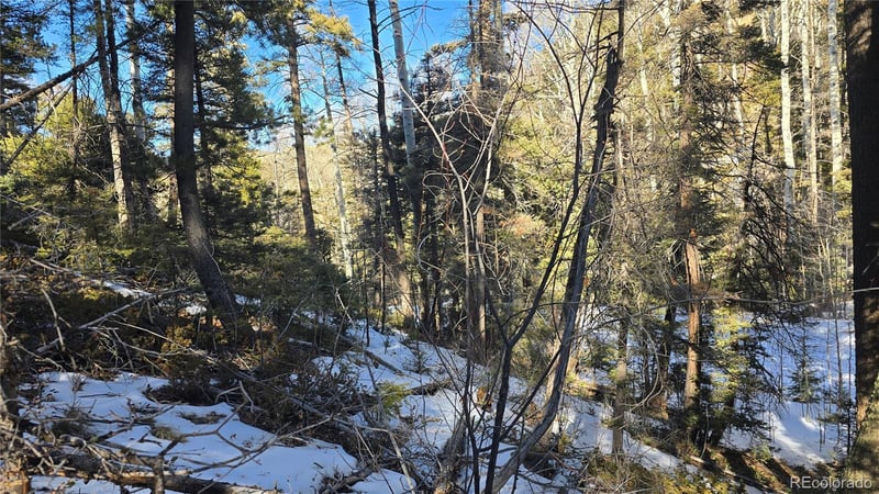 Lot 5540 Joy Rd, Fort Garland, CO 81133