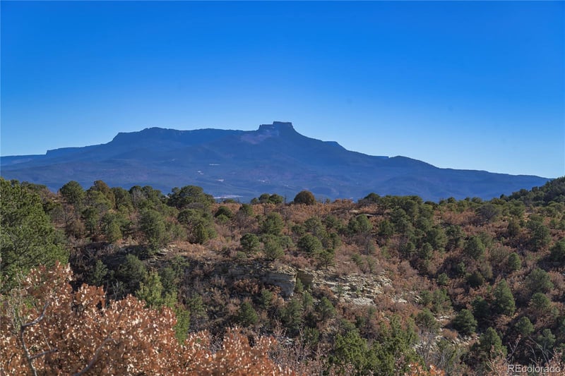 14633 Rancho Verde Rd, Trinidad, CO 81082