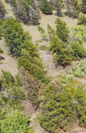 Redhill , Fairplay, CO 80440