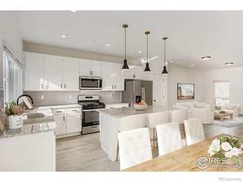 1003 Schlagel #4, Fort Collins, CO 80524