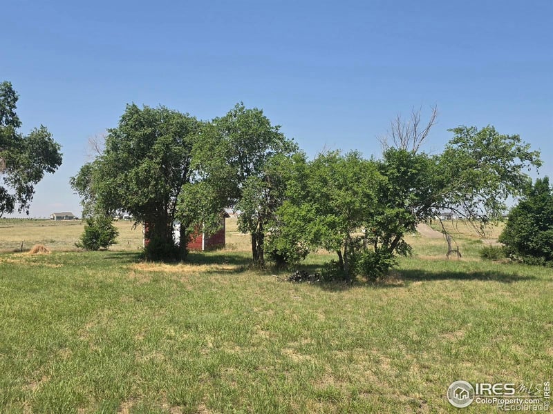7926 County Road P 2, Wiggins, CO 80654
