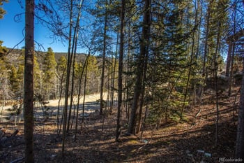 421 Aspen St, Alma, CO 80420