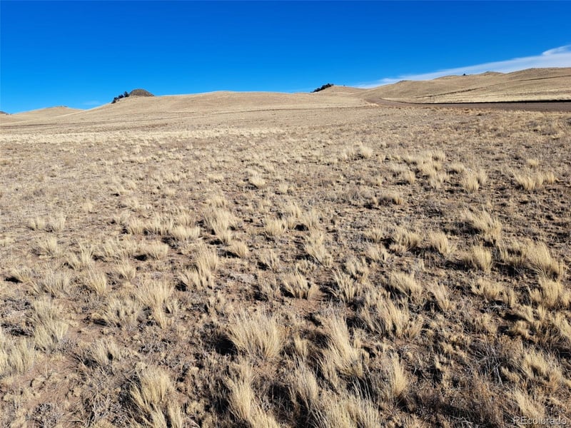 000 Maskoke Trl, Hartsel, CO 80449