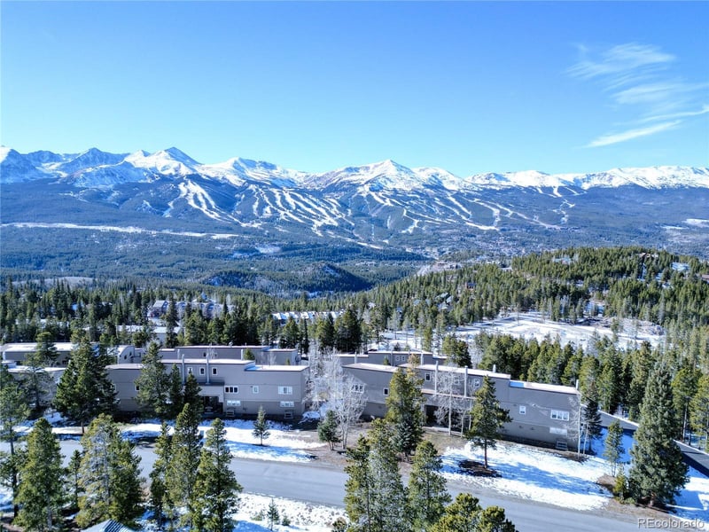 187 N Fuller Placer Rd #D, Breckenridge, CO 80424