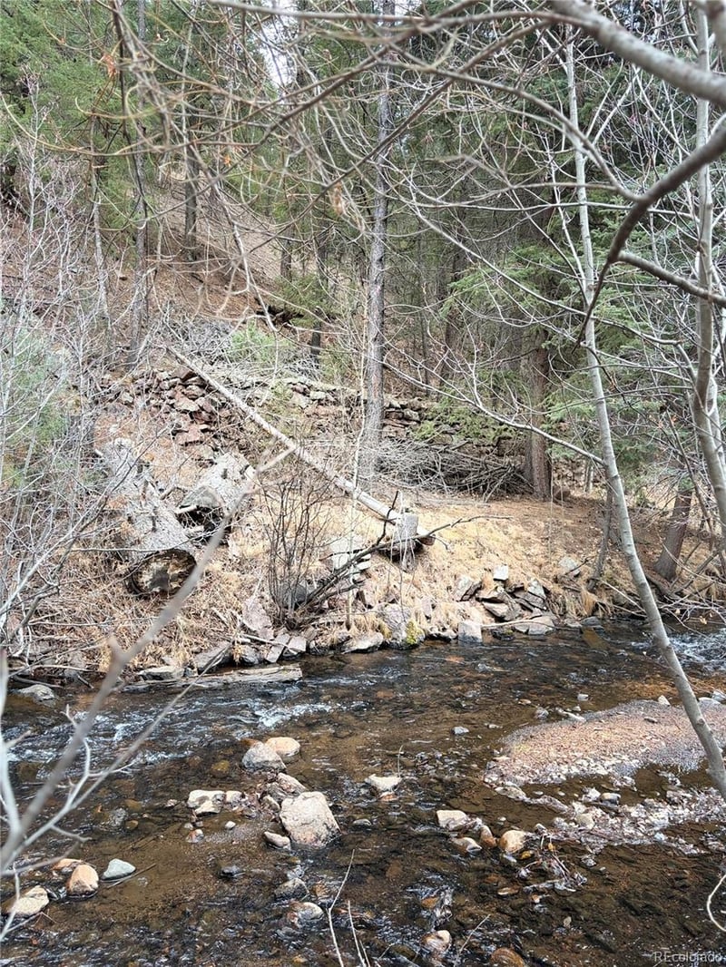 00000 Elk Creek Rd, Pine, CO 80470