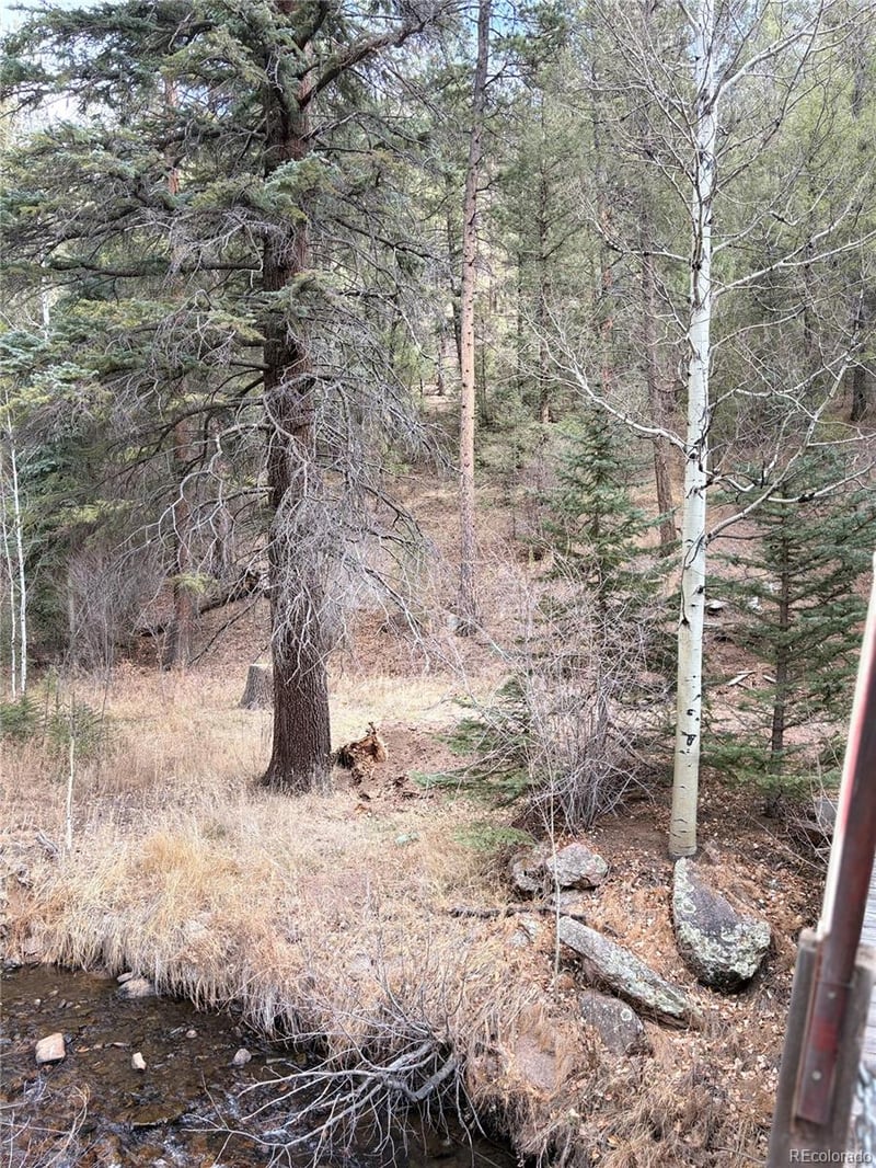 00000 Elk Creek Rd, Pine, CO 80470