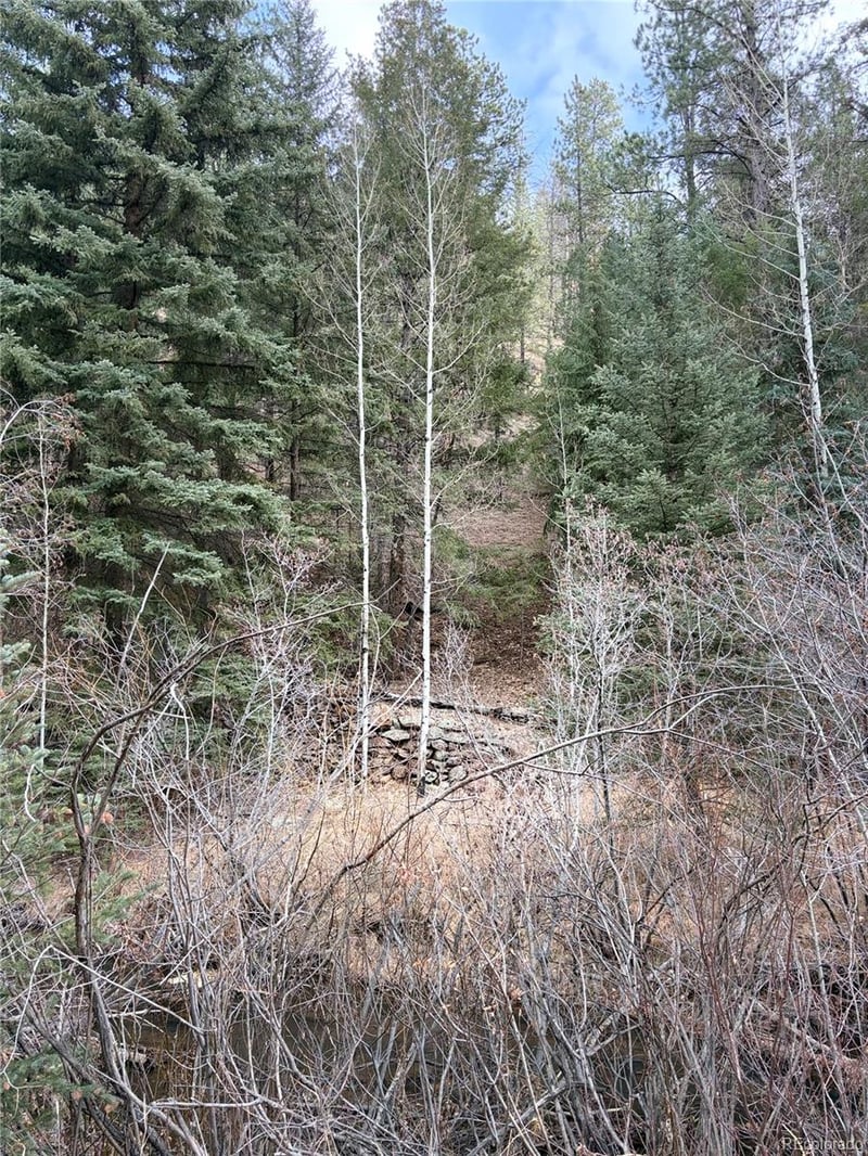 00000 Elk Creek Rd, Pine, CO 80470