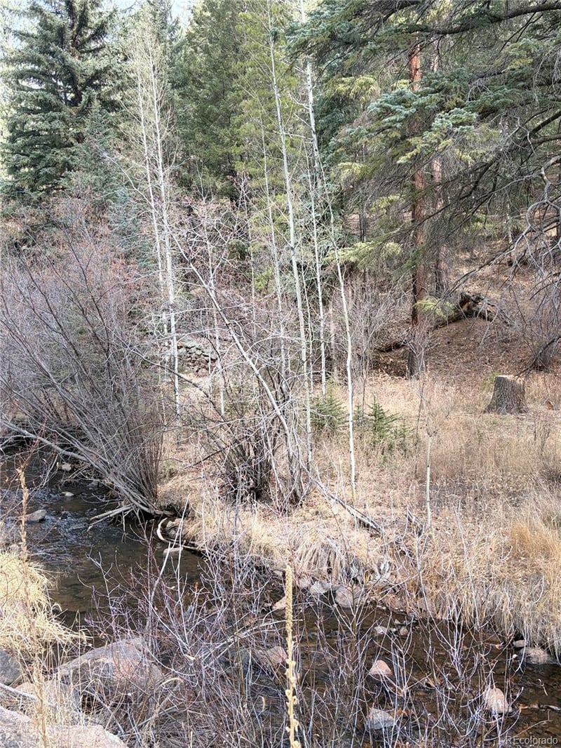 00000 Elk Creek Rd, Pine, CO 80470