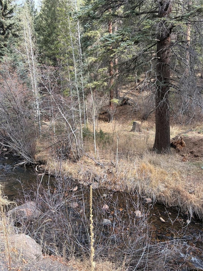 00000 Elk Creek Rd, Pine, CO 80470