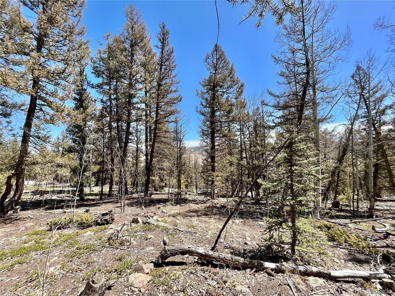 2834 Middle Fork Vi Lot 229, Fairplay, CO 80440