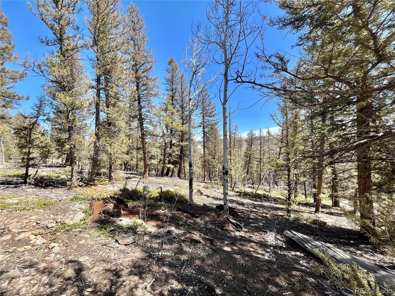 2834 Middle Fork Vi Lot 229, Fairplay, CO 80440