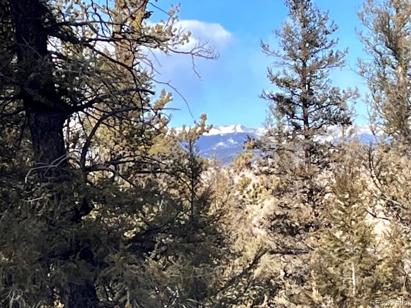 2834 Middle Fork Vi Lot 229, Fairplay, CO 80440
