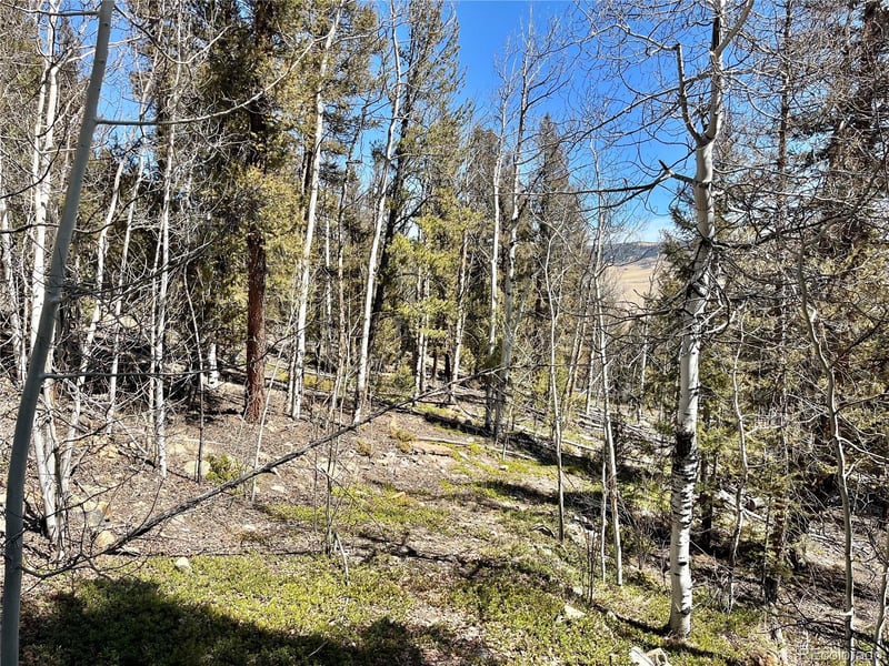2834 Middle Fork Vi Lot 229, Fairplay, CO 80440