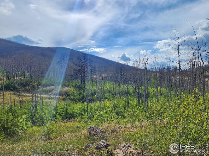 0 Crystal Mountain Rd, Bellvue, CO 80512