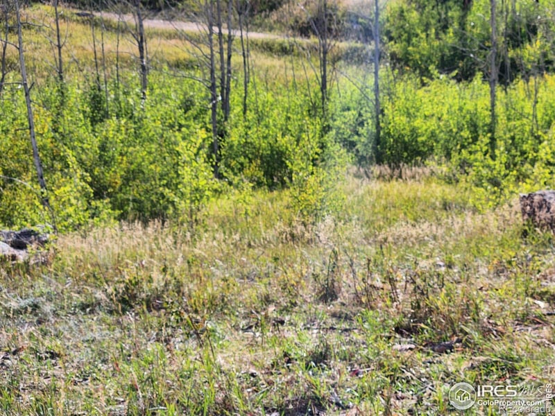 0 Crystal Mountain Rd, Bellvue, CO 80512