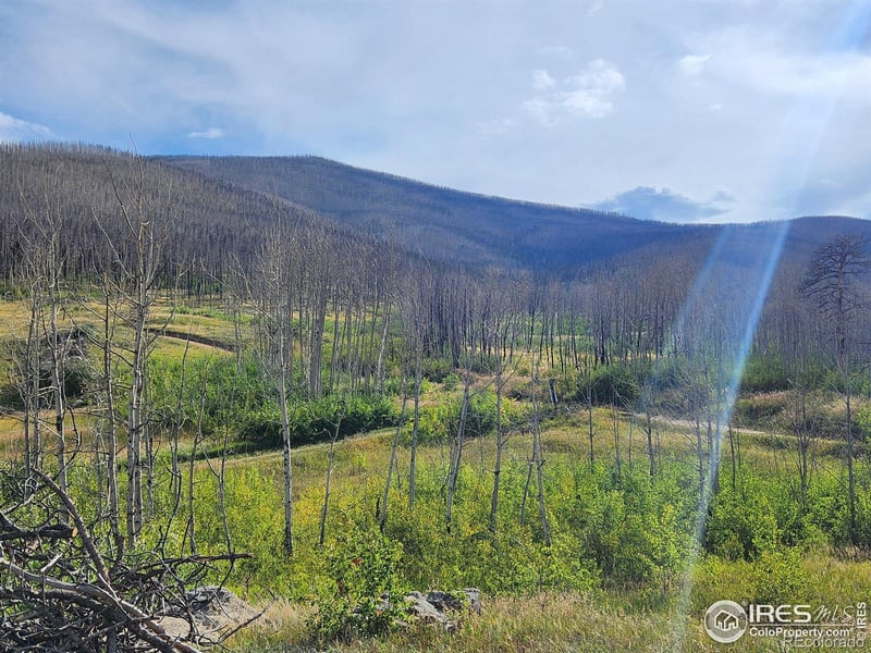 0 Crystal Mountain Rd, Bellvue, CO 80512