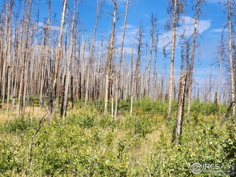 0 Crystal Mountain Rd, Bellvue, CO 80512