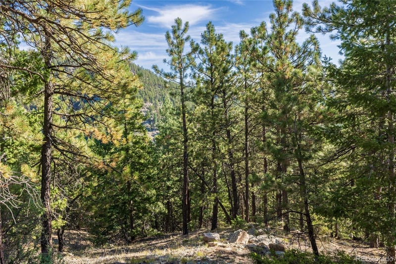 155 Millionaire Dr, Boulder, CO 80302