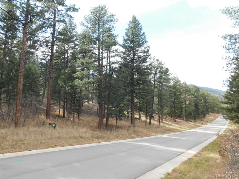 8139 Bannock Dr, Larkspur, CO 80118