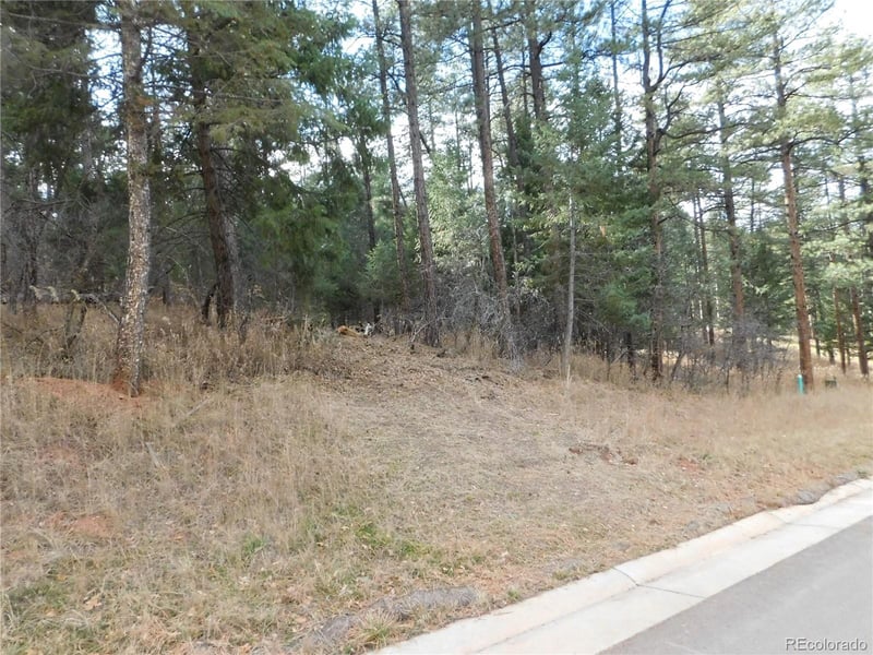 8139 Bannock Dr, Larkspur, CO 80118