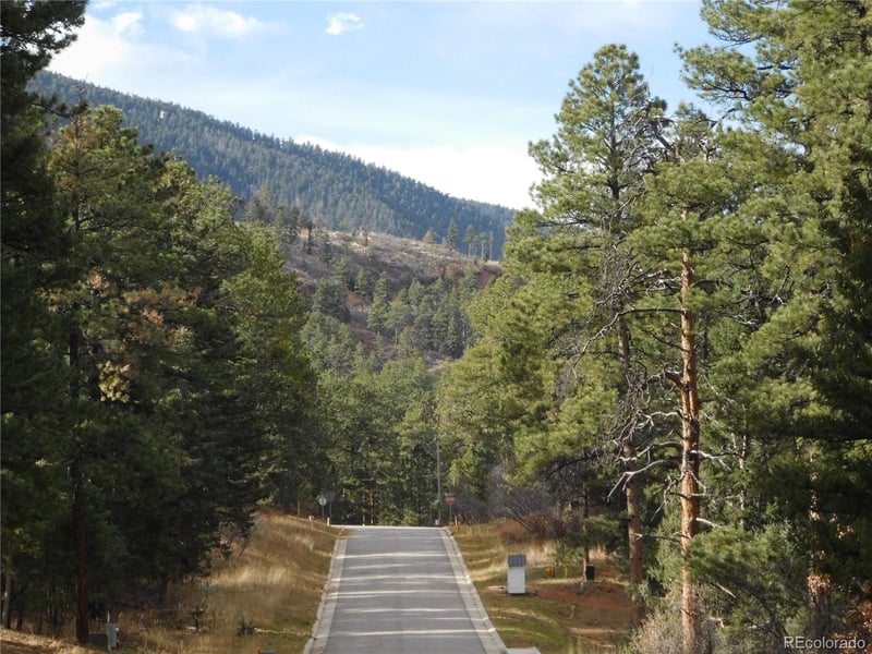 8139 Bannock Dr, Larkspur, CO 80118