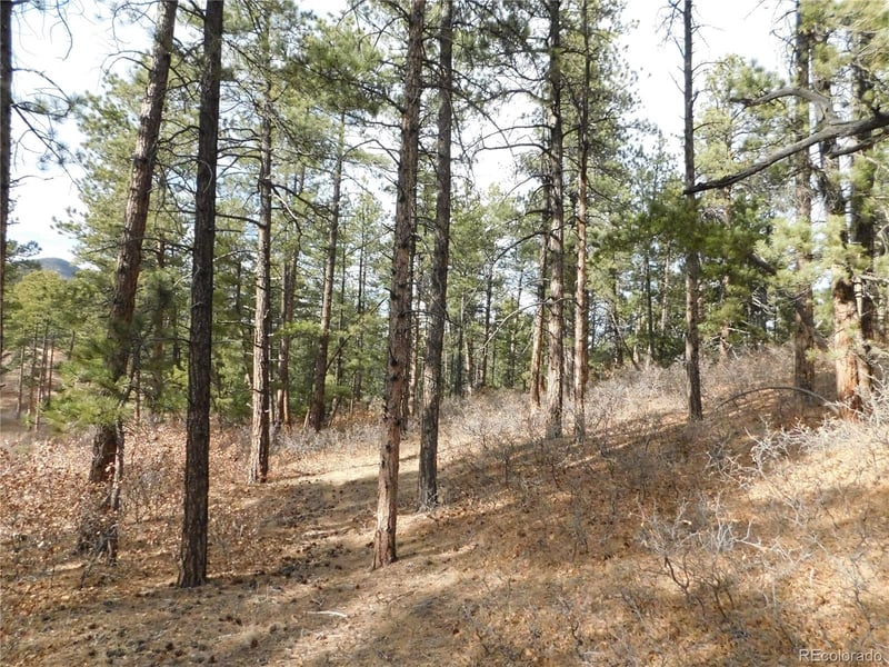 8139 Bannock Dr, Larkspur, CO 80118