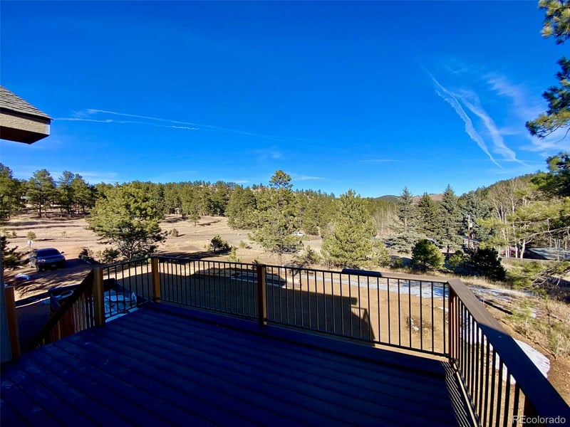 174 Chickadee Dr, Bailey, CO 80421