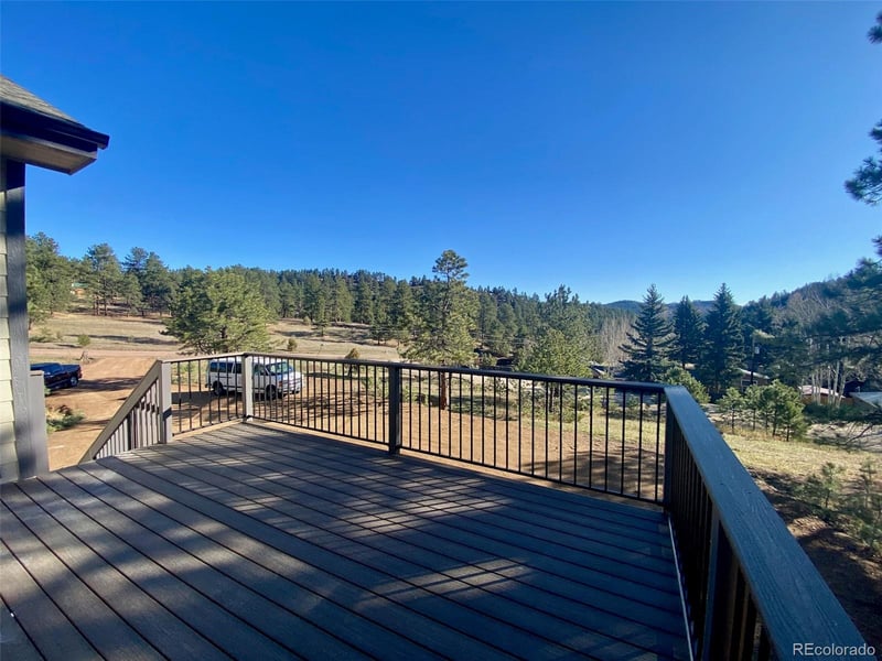174 Chickadee Dr, Bailey, CO 80421