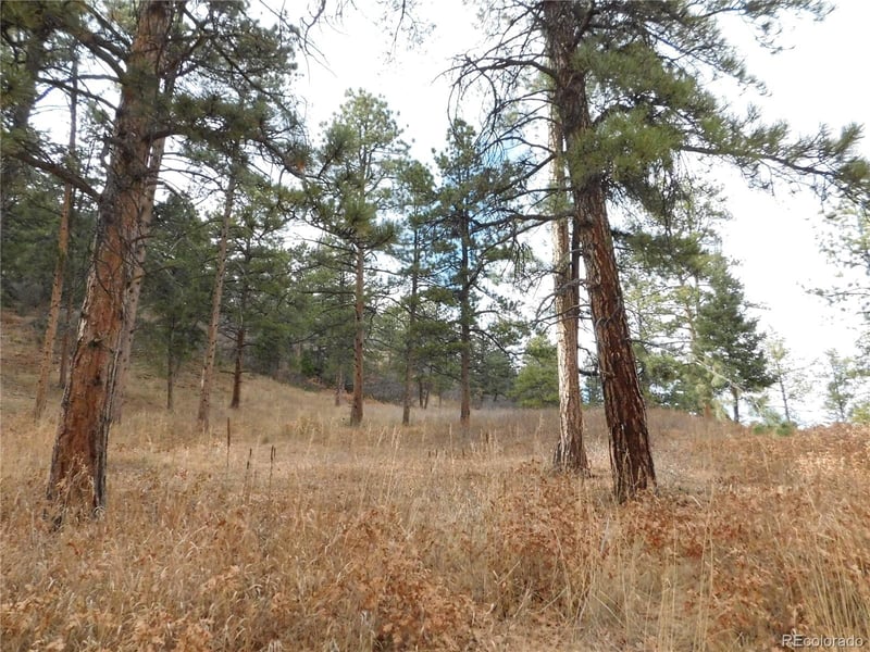 8055 Acoma Dr, Larkspur, CO 80118