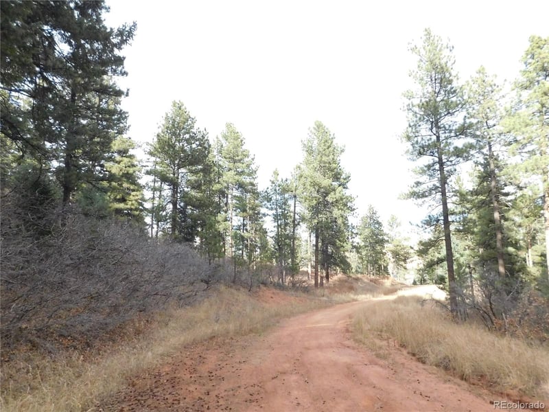 8055 Acoma Dr, Larkspur, CO 80118