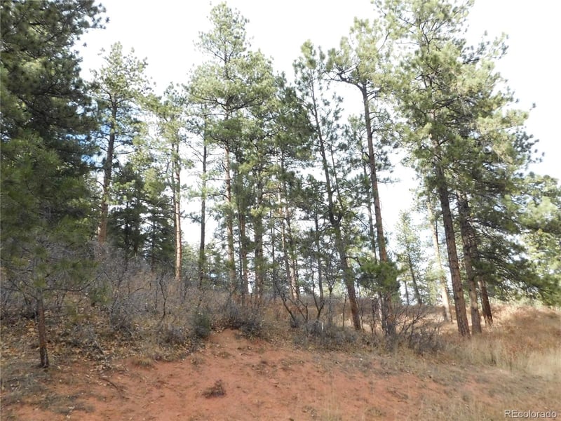 8055 Acoma Dr, Larkspur, CO 80118