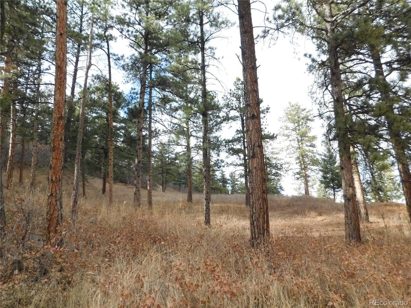8055 Acoma Dr, Larkspur, CO 80118