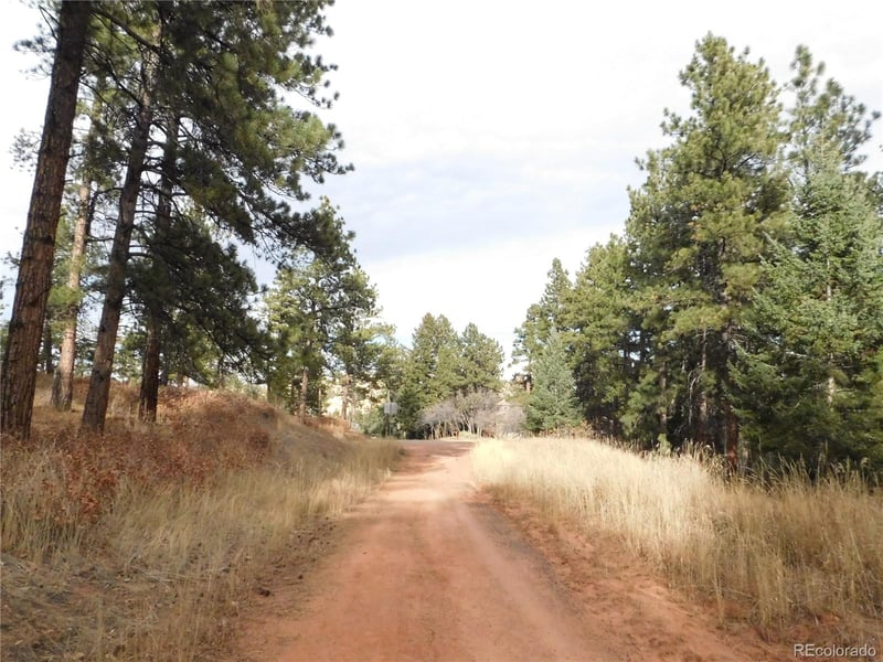 8055 Acoma Dr, Larkspur, CO 80118