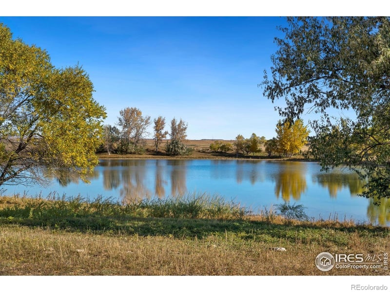 13601 County Road 11, Wellington, CO 80549