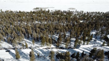 1396 Middle Fork Vi, Fairplay, CO 80440